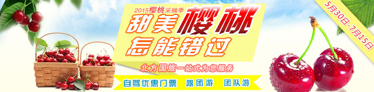大连樱桃采摘 专题图片