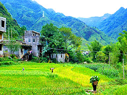 巴马长寿村