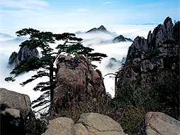 黄山5日自由行(含黄山机场接机、黄山国际大酒店首晚住宿)