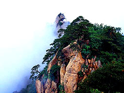 千山景色