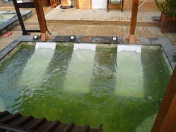 大连唐风温泉泡池