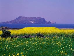 济州岛风光