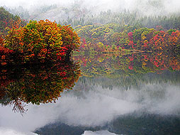 汤沟
