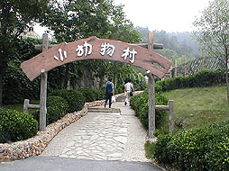 小动物区