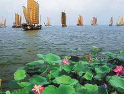 太湖美景