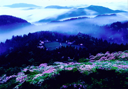 天台山