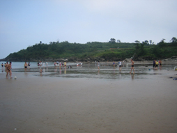 广鹿岛海边