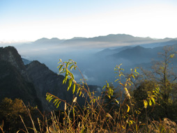 阿里山