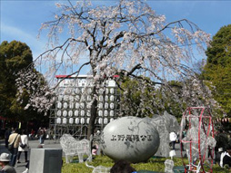 上野公园