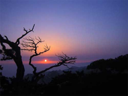 华山日出