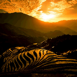 龙脊梯田美景