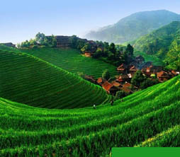 龙脊梯田美景