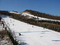 欢乐雪世界