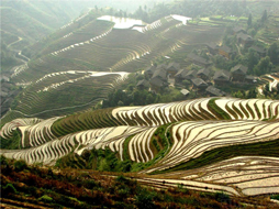 梯田美景