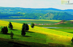 乌兰布统大草原