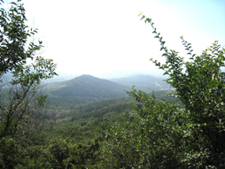 龙潭山美景