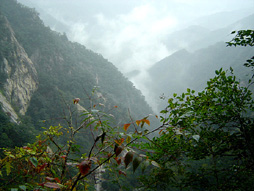 白云山