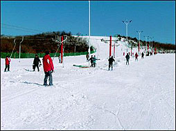 铭湖滑雪场图片