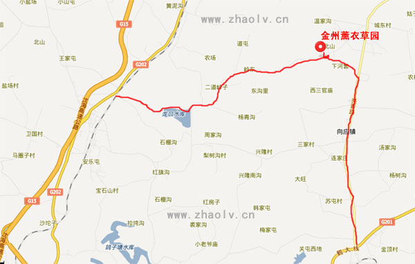 自驾薰衣草园线路图