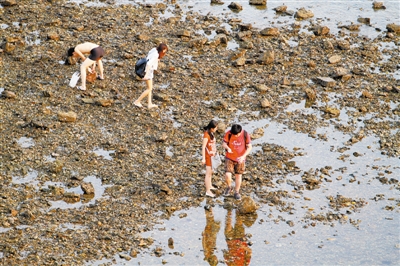 金石滩赶海