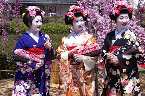 樱花与歌舞伎
