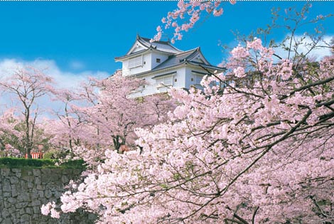 冈山县津山城