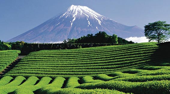 名古屋.大阪.箱根.富士山.东京6日(丰富日料、精华景点、和服体验)