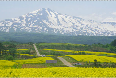 畅游大阪富士山之巅时尚东京小资镰仓5+1日观光之旅(和式温泉酒店、特色日料、自由活动、一价全含)