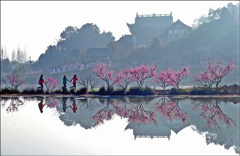 杭州萧山赏桃花