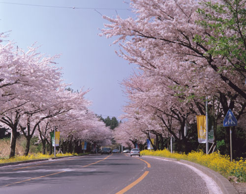 江原道美景