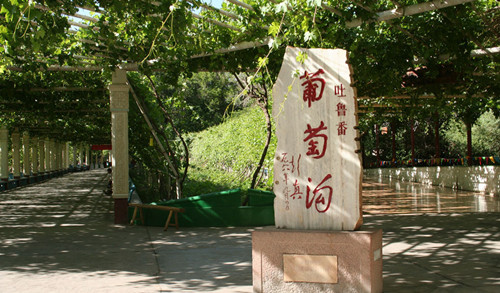 新疆 葡萄沟 葡萄沟景区图片