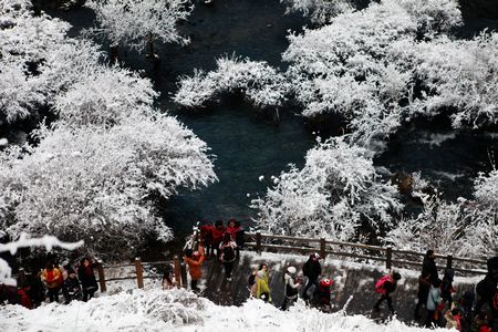 九寨沟火爆三八节