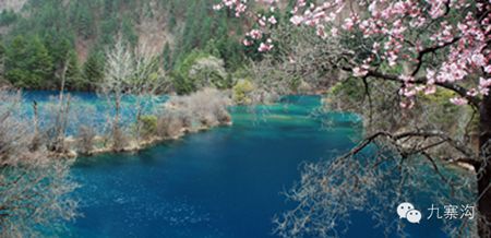 春入九寨